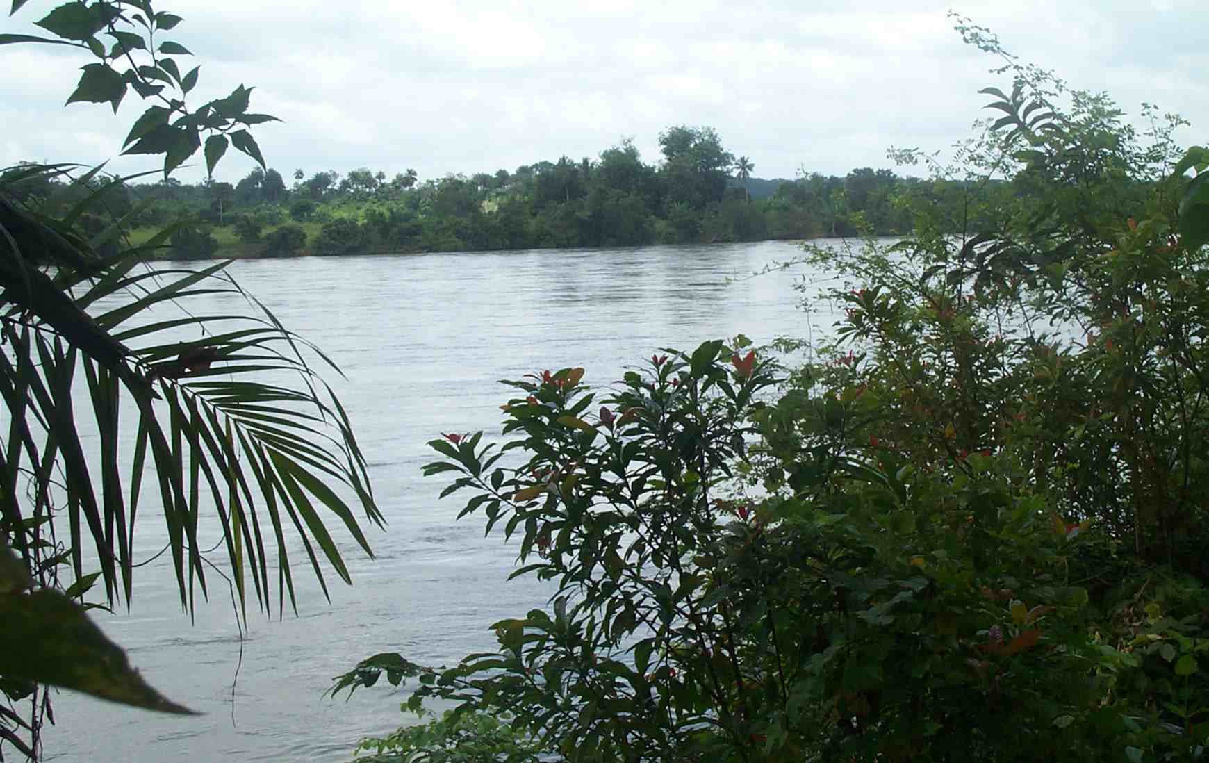 Saint Paul River at White Plains, Liberia, towards the end of the rainy season